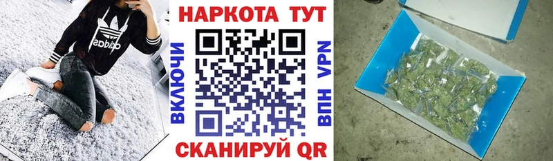 Где продают наркотики Егорьевск Псилоцибиновые грибы  COCAIN  Меф мяу мяу  Каннабис  APVP 
