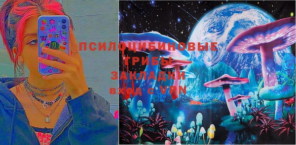 индика Семикаракорск