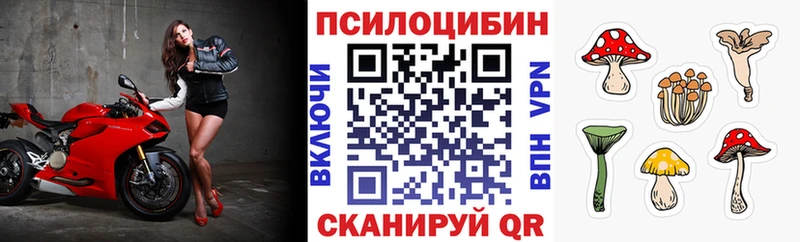 Псилоцибиновые грибы Cubensis  Егорьевск 