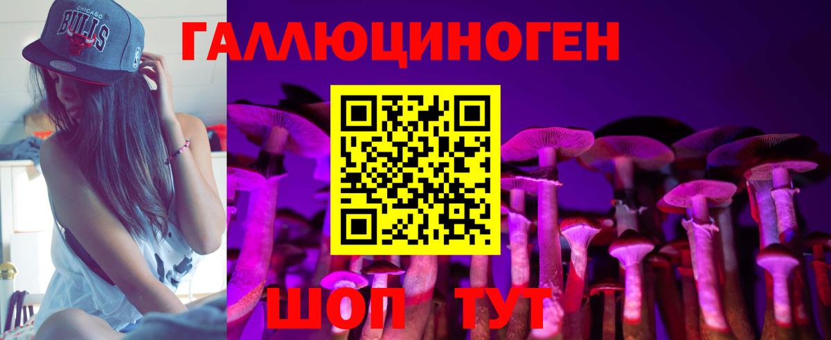 Псилоцибиновые грибы Psilocybe  Вход с VPN  Псилоцибиновые грибы Psilocybine cubensis  что такое наркотик  Егорьевск 